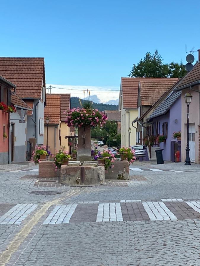 Отель Le Nid De Cigognes Hengwiller Экстерьер фото